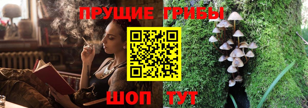 Белорецк  Псилоцибиновые грибы мухоморы  Вход с VPN 